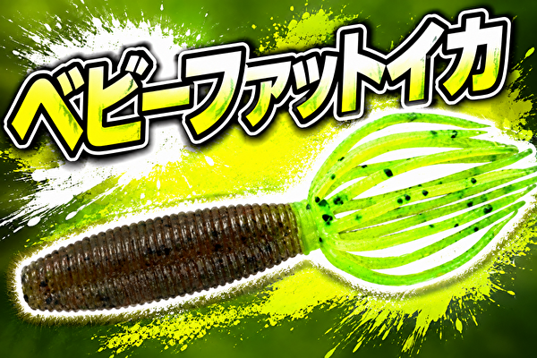 ベビーファットイカ