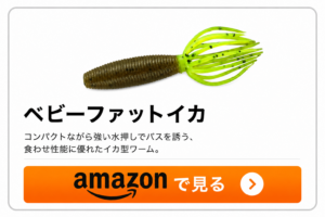 ベビーファットイカ
