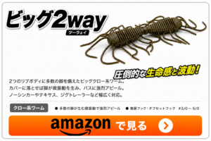 ビッグ2way