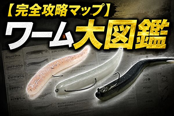 【完全攻略マップ】ワーム大図鑑