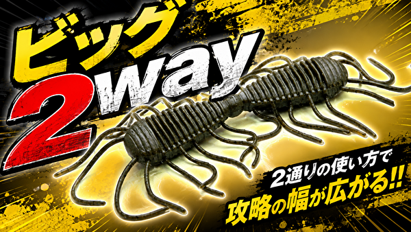 ビッグ2way