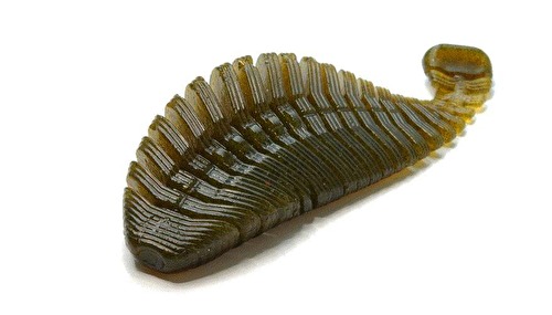 ヒラタイラー